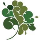 Forevermark Cabinetry